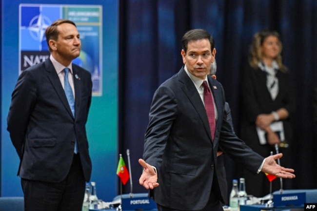 Polşa xarici işlər naziri Radoslav Sikorski və ABŞ dövlət katibi Marko Rubio İsveçin Helsinqborq şəhərində NATO xarici işlər nazirlərinin toplantısında.